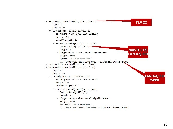 TLV 22 Sub-TLV 32 LAN-Adj-SID 24001 50 