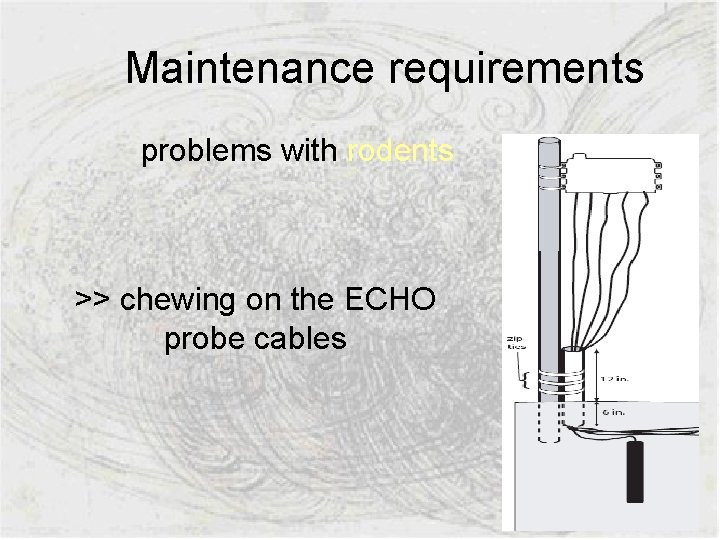  Maintenance requirements problems with rodents >> chewing on the ECHO probe cables 
