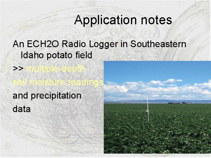 Application notes An ECH 2 O Radio Logger in Southeastern Idaho potato field