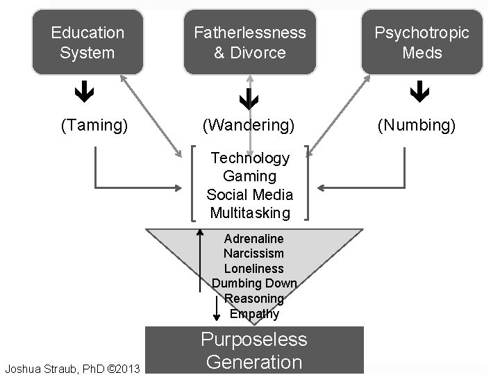 Education System (Taming) Fatherlessness & Divorce Psychotropic Meds (Wandering) Technology Gaming Social Media Multitasking