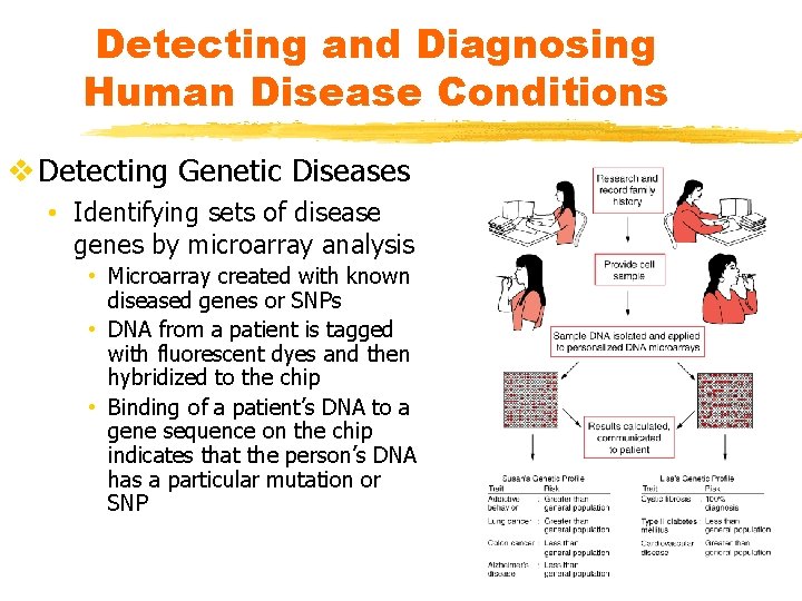 Detecting and Diagnosing Human Disease Conditions v Detecting Genetic Diseases • Identifying sets of