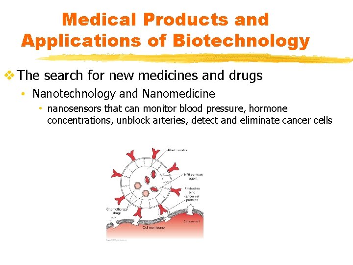 Medical Products and Applications of Biotechnology v The search for new medicines and drugs