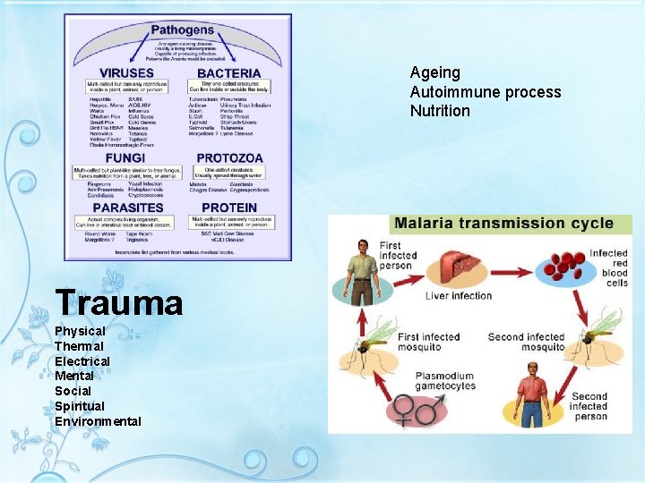 Ageing Autoimmune process Nutrition Trauma Physical Thermal Electrical Mental Social Spiritual Environmental Ageing Autoimmune process Nutrition Trauma Physical Thermal Electrical Mental Social Spiritual Environmental