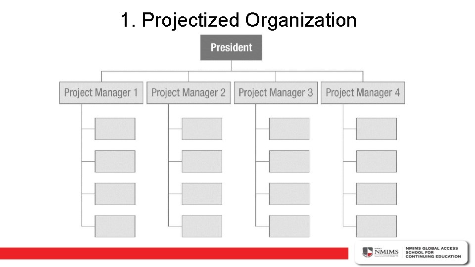1. Projectized Organization 