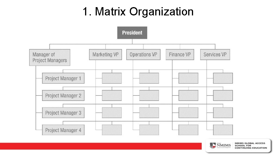 1. Matrix Organization 