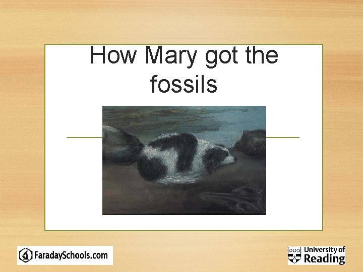 How Mary got the fossils 