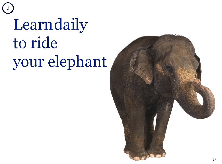 3 Learn daily to ride your elephant Laurent Ledoux 57 3 Learn daily to ride your elephant Laurent Ledoux 57