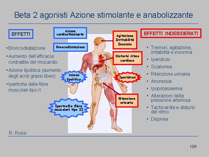 Beta 2 agonisti Azione stimolante e anabolizzante EFFETTI • Broncodilatazione Azione cardiostimolante Broncodilatazione Disturbi