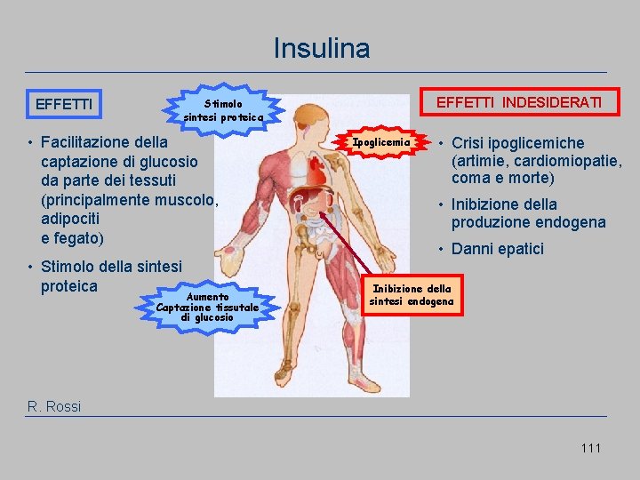 Insulina EFFETTI INDESIDERATI Stimolo sintesi proteica • Facilitazione della captazione di glucosio da parte