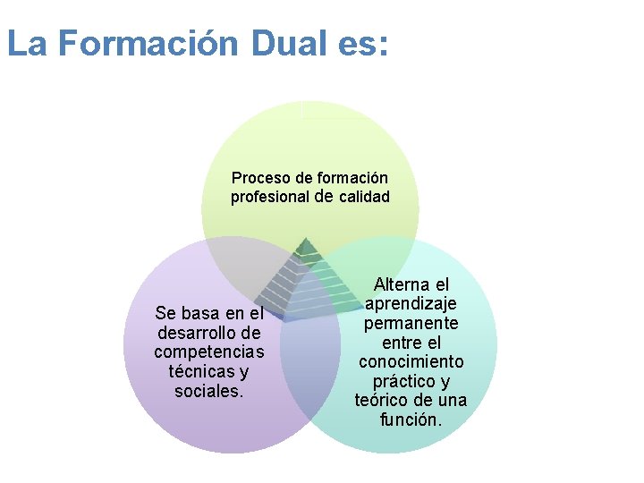 La Formación Dual es: Proceso de formación profesional de calidad Se basa en el