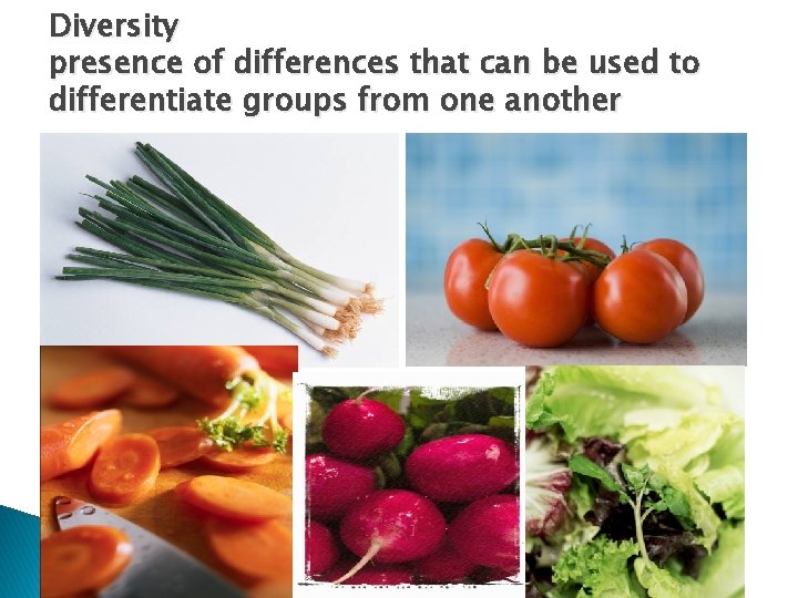 Diversity presence of differences that can be used to differentiate groups from one another