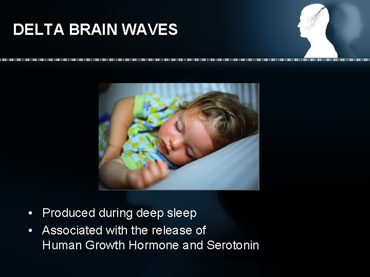 DELTA BRAIN WAVES • Produced during deep sleep • Associated with the release of