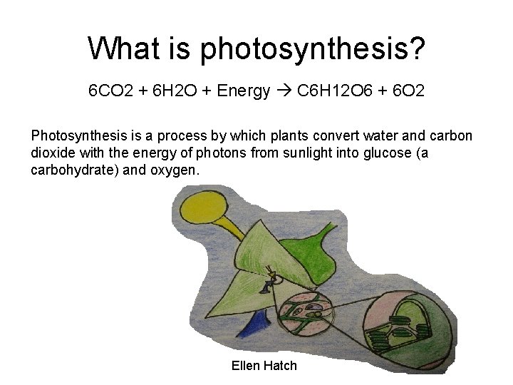 What is photosynthesis? 6 CO 2 + 6 H 2 O + Energy C What is photosynthesis? 6 CO 2 + 6 H 2 O + Energy C