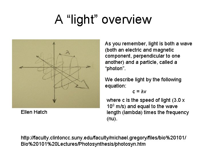 A “light” overview As you remember, light is both a wave (both an electric A “light” overview As you remember, light is both a wave (both an electric