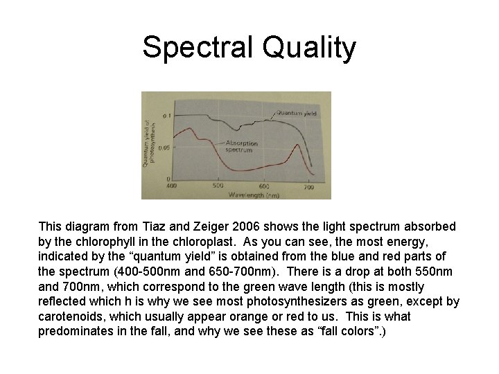 Spectral Quality This diagram from Tiaz and Zeiger 2006 shows the light spectrum absorbed Spectral Quality This diagram from Tiaz and Zeiger 2006 shows the light spectrum absorbed