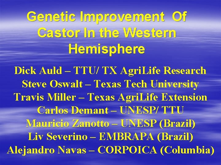 Genetic Improvement Of Castor In the Western Hemisphere Dick Auld – TTU/ TX Agri.