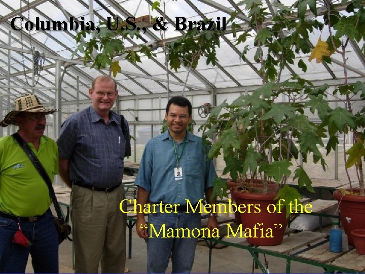 Columbia, U. S. , & Brazil Charter Members of the “Mamona Mafia” 