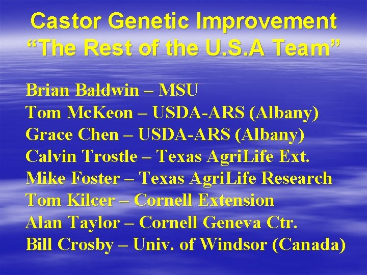 Castor Genetic Improvement “The Rest of the U. S. A Team” Brian Baldwin –