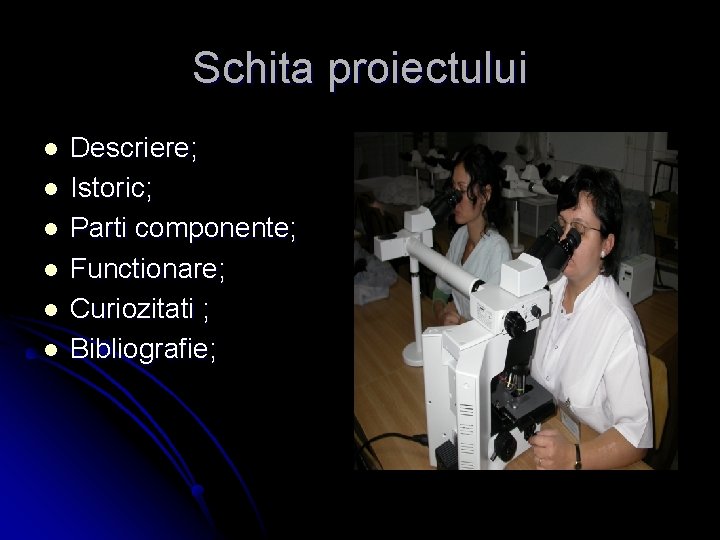 Schita proiectului l l l Descriere; Istoric; Parti componente; Functionare; Curiozitati ; Bibliografie; 