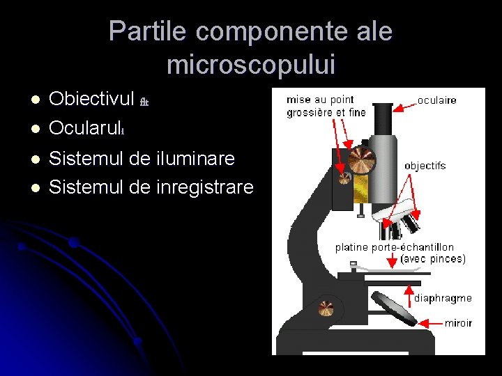 Partile componente ale microscopului l l Obiectivul flt Ocularuli Sistemul de iluminare Sistemul de