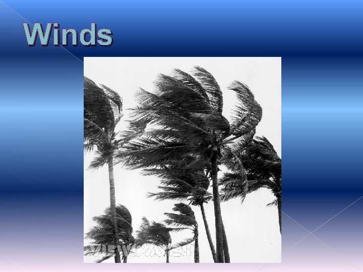 Winds Winds
