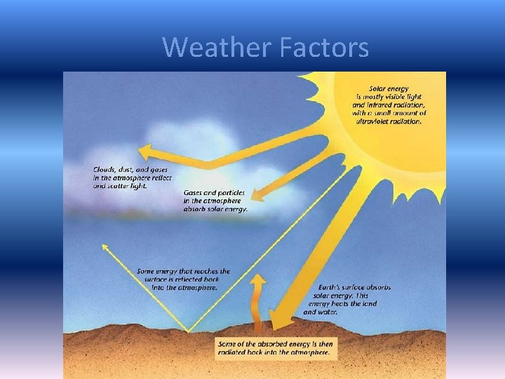 Weather Factors Weather Factors