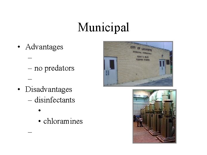 Municipal • Advantages – – no predators – • Disadvantages – disinfectants • • Municipal • Advantages – – no predators – • Disadvantages – disinfectants • •