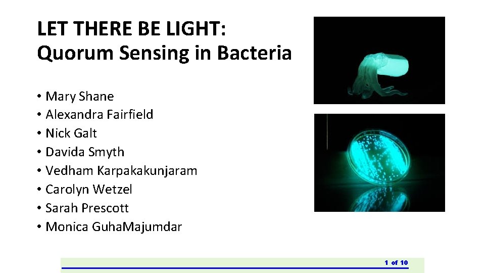 LET THERE BE LIGHT: Quorum Sensing in Bacteria • Mary Shane • Alexandra Fairfield