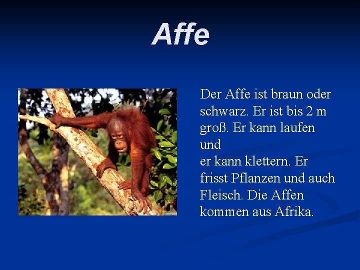 Affe Der Affe ist braun oder schwarz. Er ist bis 2 m groß. Er