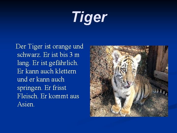 Tiger Der Tiger ist orange und schwarz. Er ist bis 3 m lang. Er