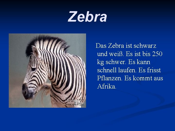 Zebra Das Zebra ist schwarz und weiß. Es ist bis 250 kg schwer. Es