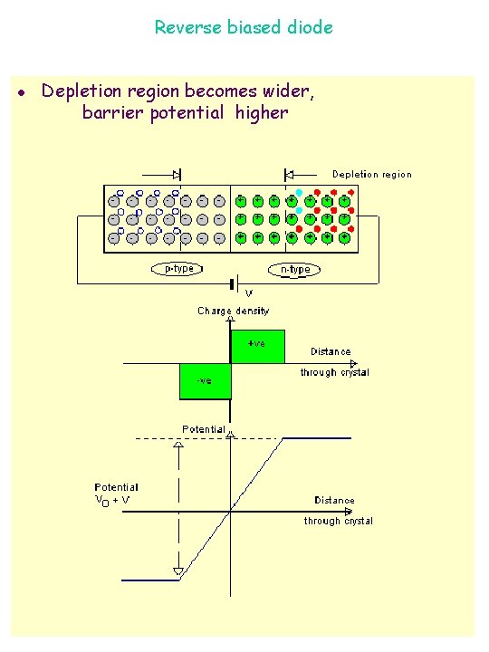 Reverse biased diode l Depletion region becomes wider, barrier potential higher 