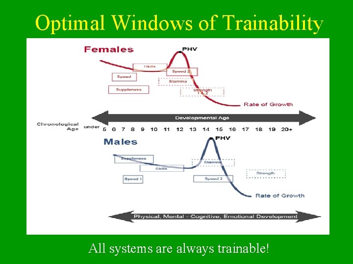Optimal Windows of Trainability All systems are always trainable! 