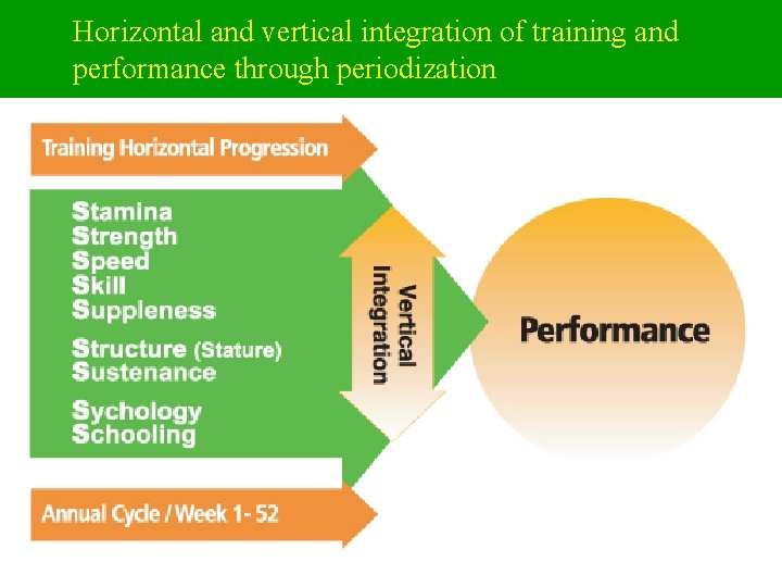 Horizontal and vertical integration of training and performance through periodization 
