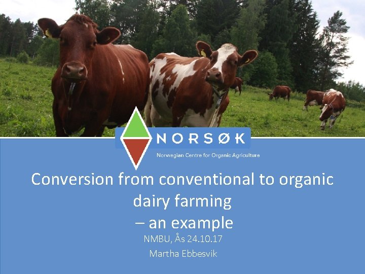 Conversion from conventional to organic dairy farming – an example NMBU, Ås 24. 10. Conversion from conventional to organic dairy farming – an example NMBU, Ås 24. 10.