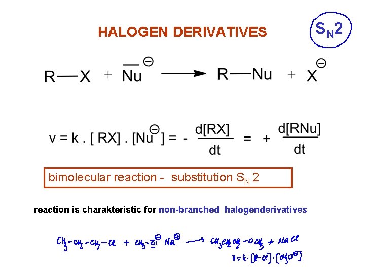 HALOGEN DERIVATIVES bimolecular reaction - substitution SN 2 reaction is charakteristic for non-branched halogenderivatives