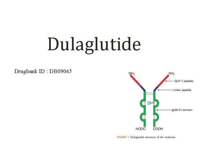 Dulaglutide Drugbank ID : DB 09045 