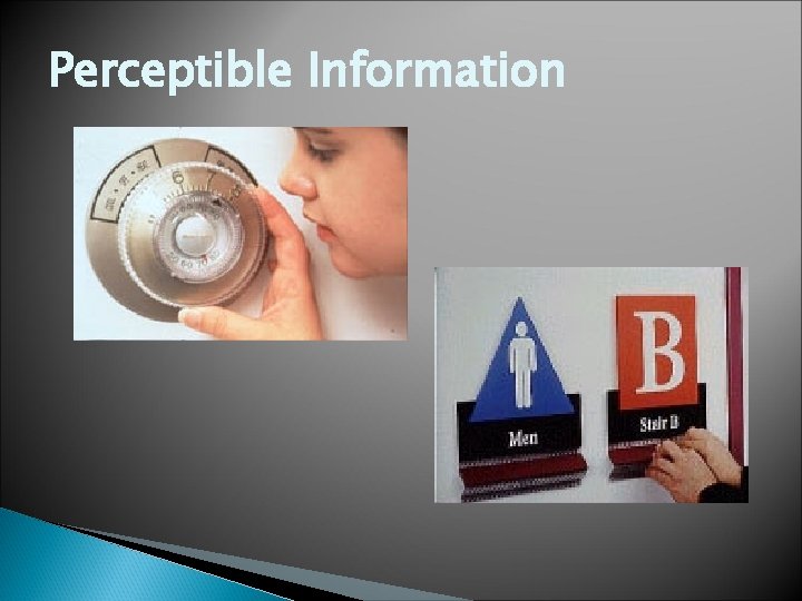 Perceptible Information Perceptible Information