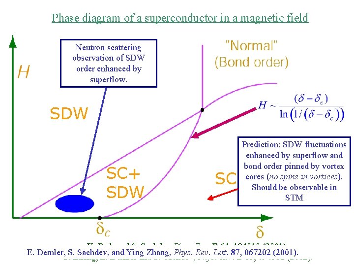 Phase diagram of a superconductor in a magnetic field Neutron scattering observation of SDW