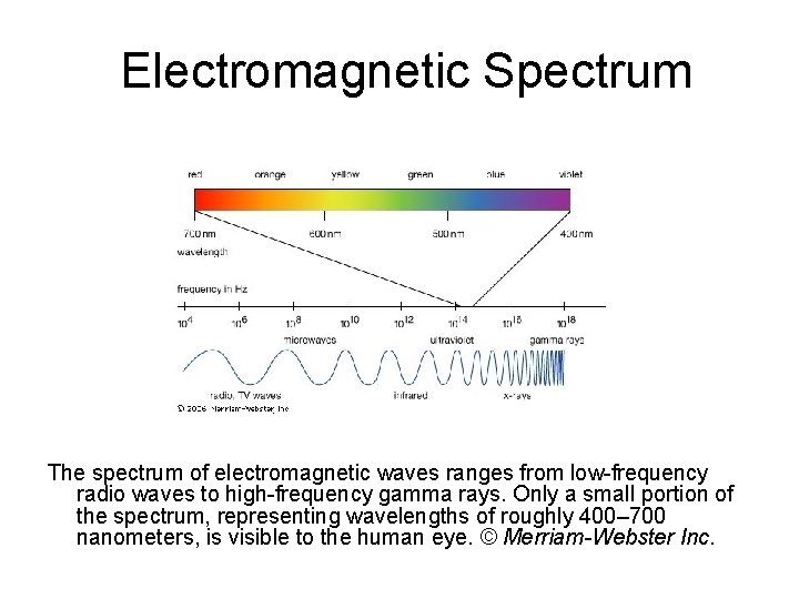Electromagnetic Spectrum The spectrum of electromagnetic waves ranges from low-frequency radio waves to high-frequency