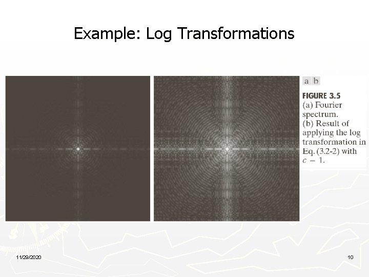 Example: Log Transformations 11/29/2020 10 