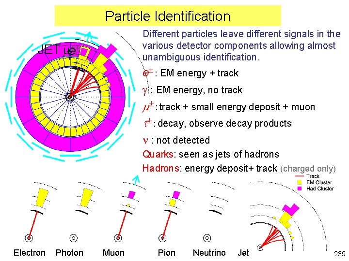 Particle Identification Different particles leave different signals in the various detector components allowing almost