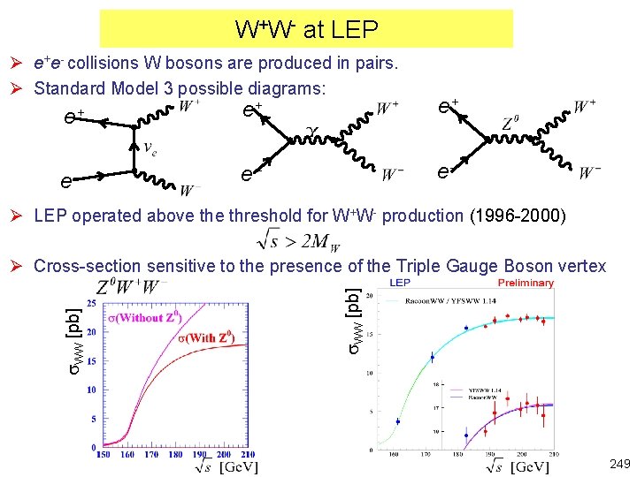 W+W- at LEP Ø e+e- collisions W bosons are produced in pairs. Ø Standard