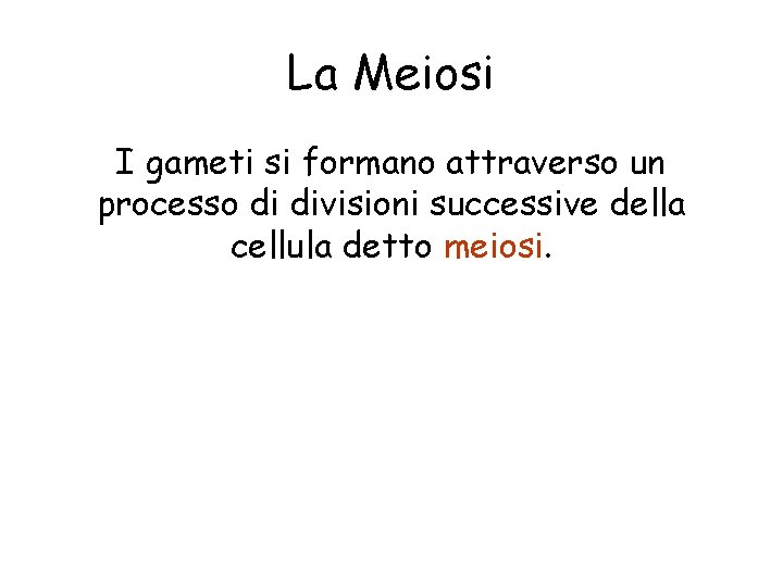 La Meiosi I gameti si formano attraverso un processo di divisioni successive della cellula