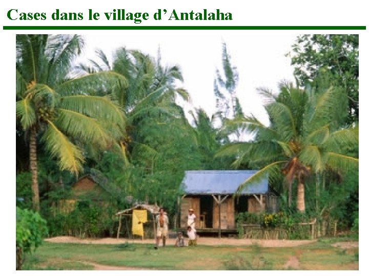 Cases dans le village d’Antalaha 