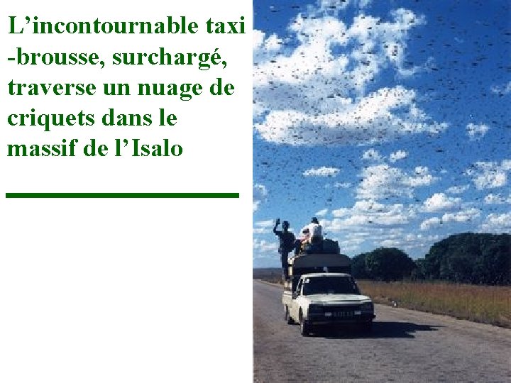 L’incontournable taxi -brousse, surchargé, traverse un nuage de criquets dans le massif de l’Isalo