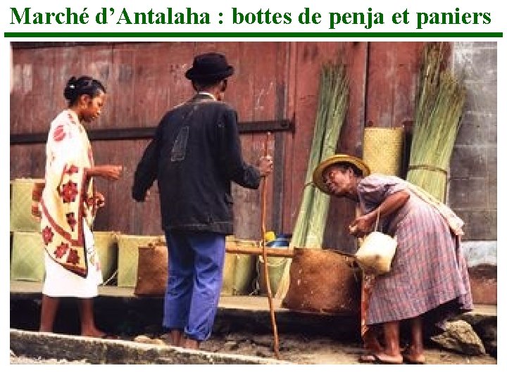 Marché d’Antalaha : bottes de penja et paniers 