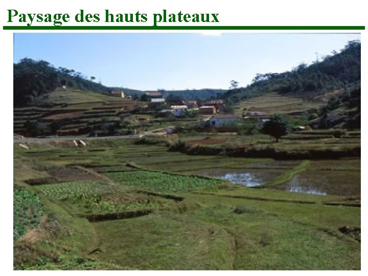 Paysage des hauts plateaux 