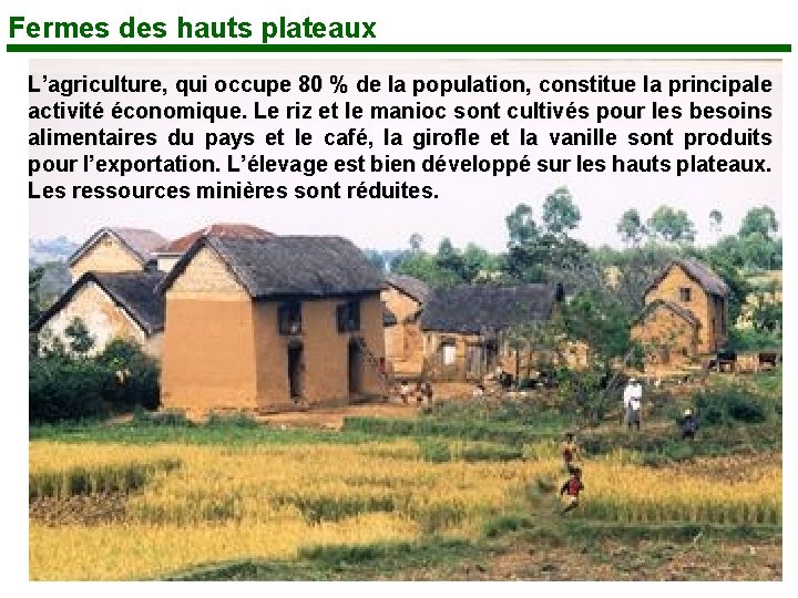 Fermes des hauts plateaux L’agriculture, qui occupe 80 % de la population, constitue la