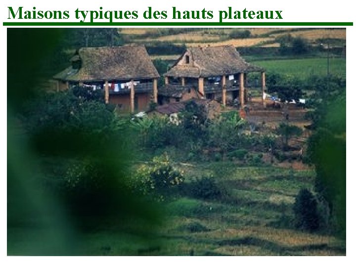 Maisons typiques des hauts plateaux 